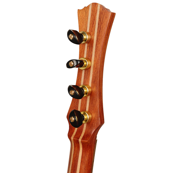 Heartland Dulcimer Banjo - 4 string