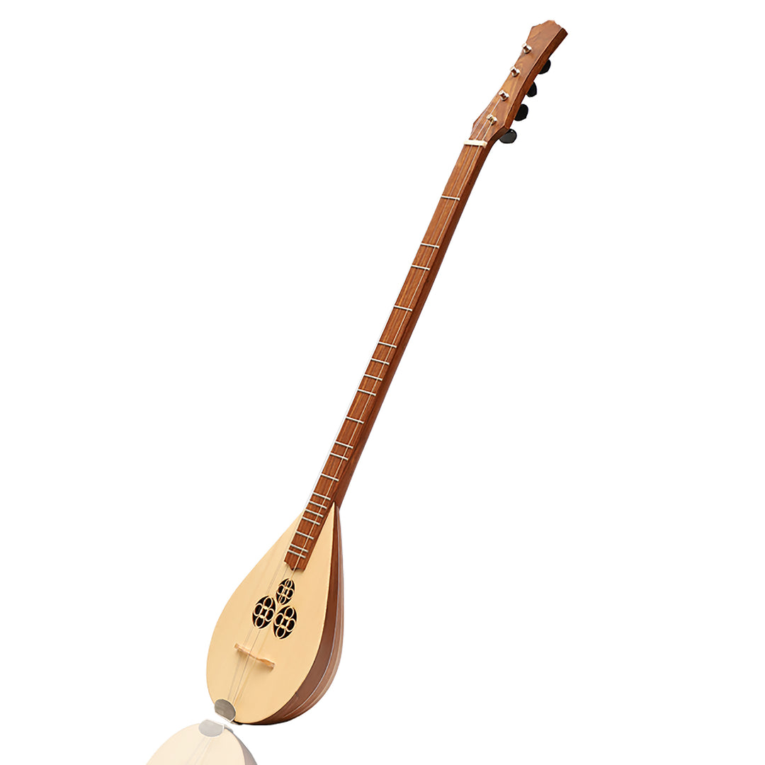 Heartland Wildwood Dulcimer Banjo - 4 string Roundback