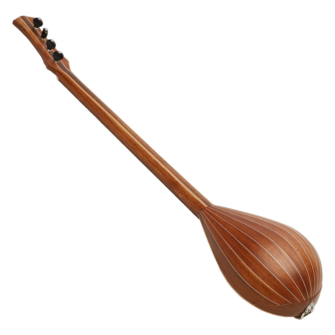 Heartland Wildwood Dulcimer Banjo - 4 string Roundback