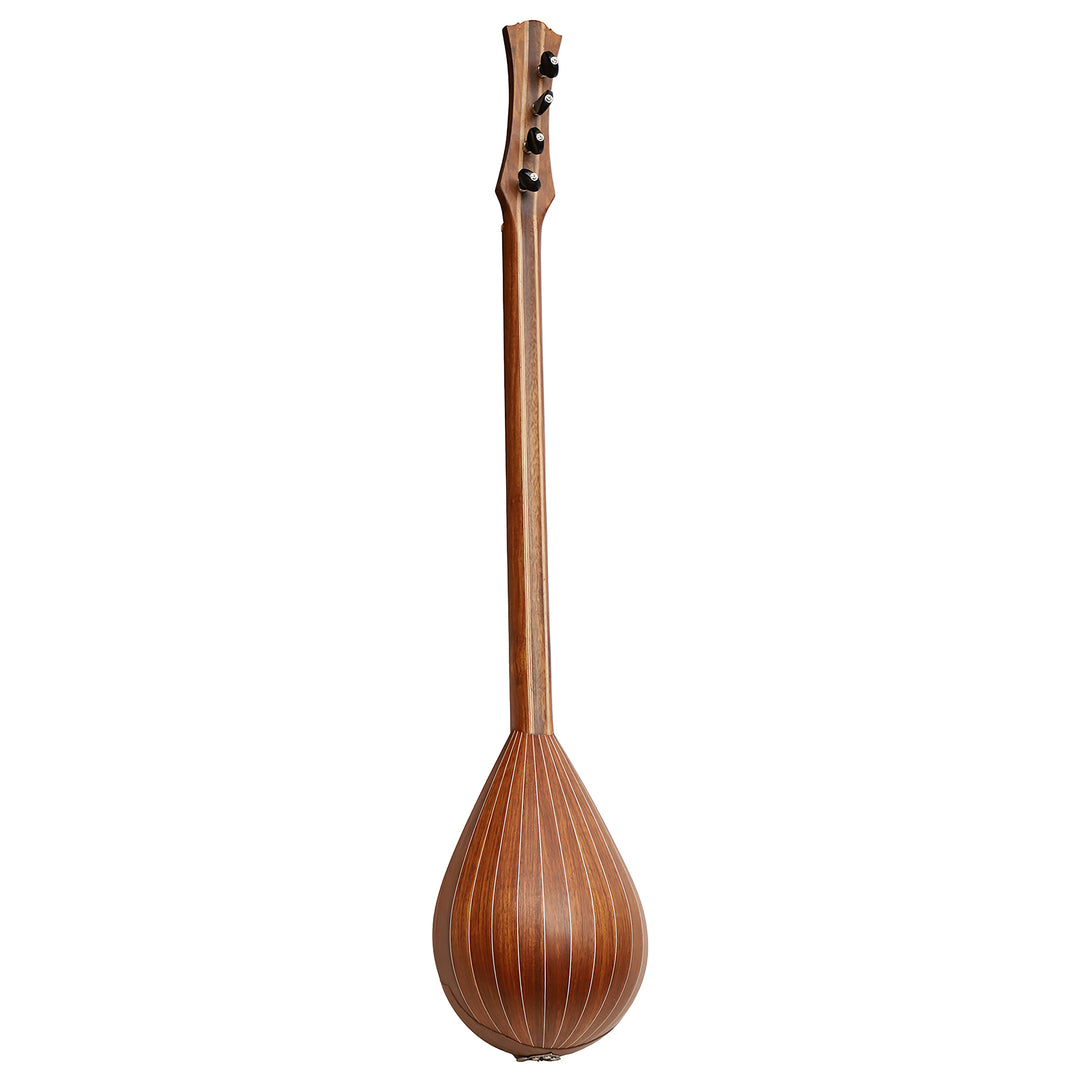 Heartland Wildwood Dulcimer Banjo - 4 string Roundback