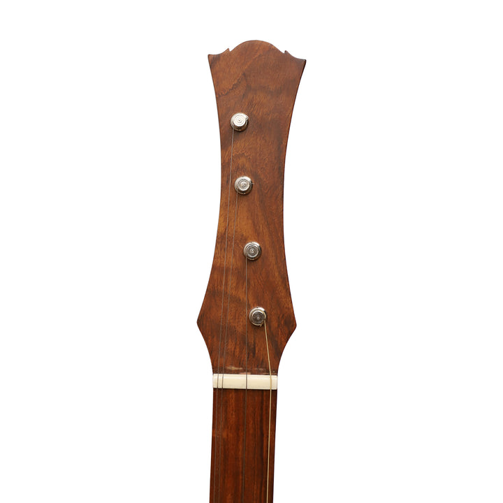 Heartland Wildwood Dulcimer Banjo - 4 string Roundback