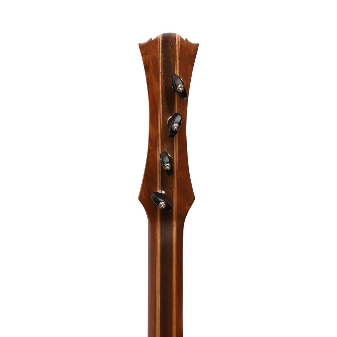Heartland Wildwood Dulcimer Banjo - 4 string Roundback
