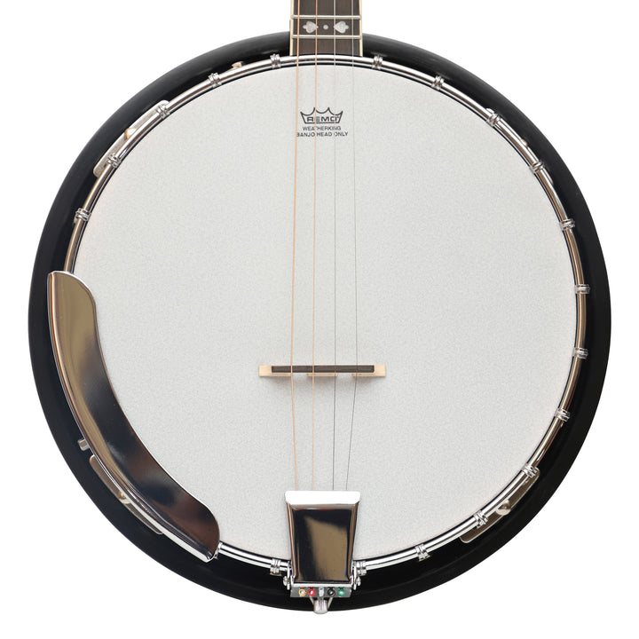 Heartland 4 String Irish Tenor Banjo - 17 frets