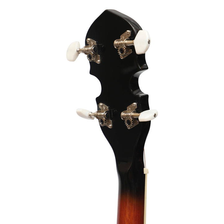 Heartland 4 String Irish Tenor Banjo - 17 frets