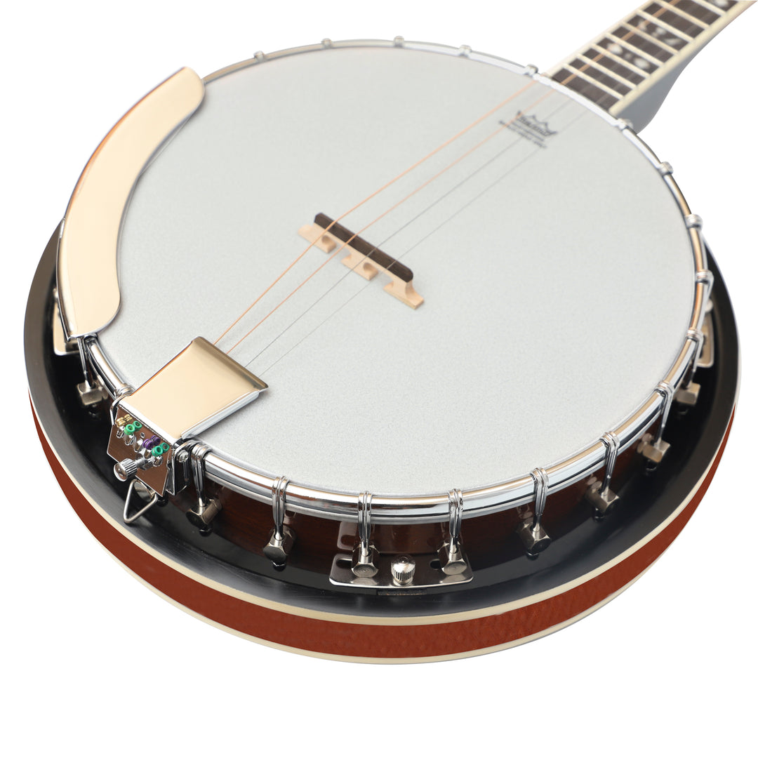 Heartland 4 String Irish Tenor Banjo - 17 frets