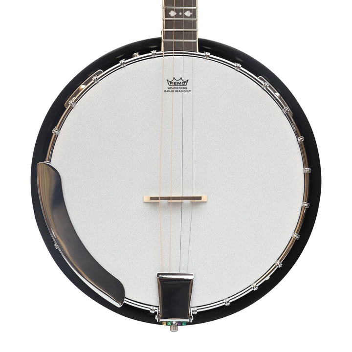 Heartland 4 String Irish Tenor Banjo - 19 frets