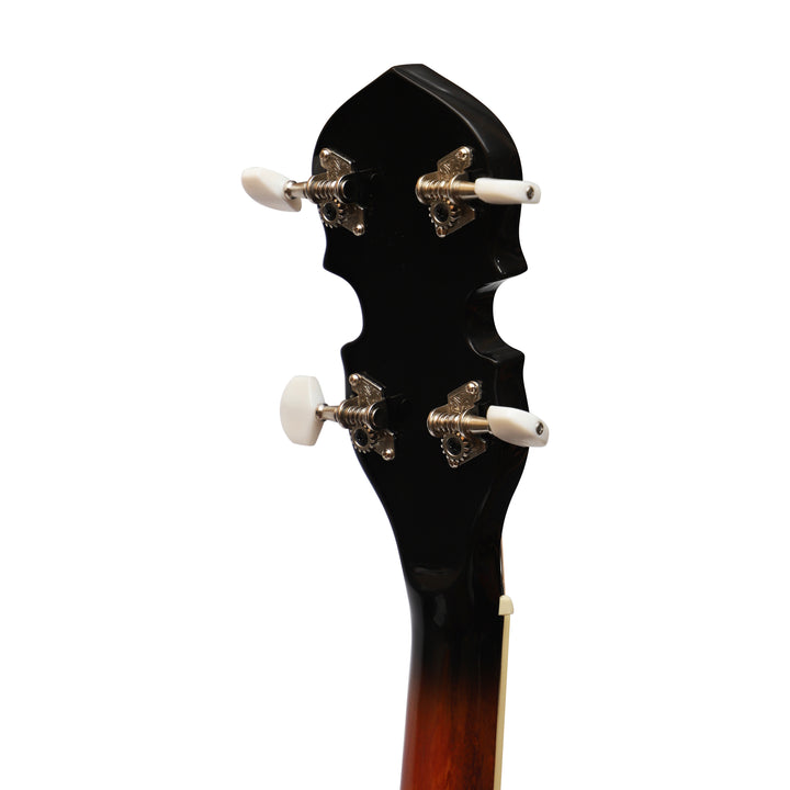 Heartland 4 String Irish Tenor Banjo - 19 frets