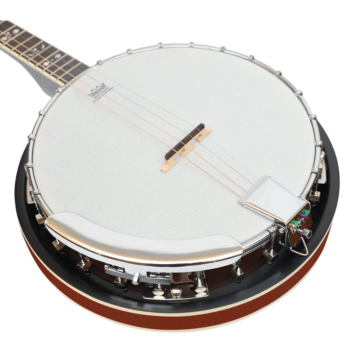Heartland 4 String Irish Tenor Banjo - 19 frets