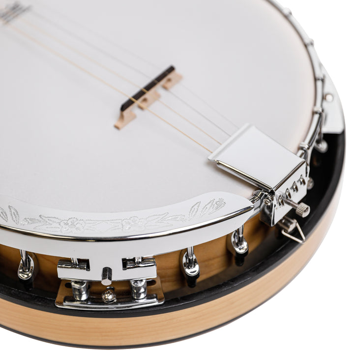 Heartland 4 String Irish Tenor Banjo - 19 frets