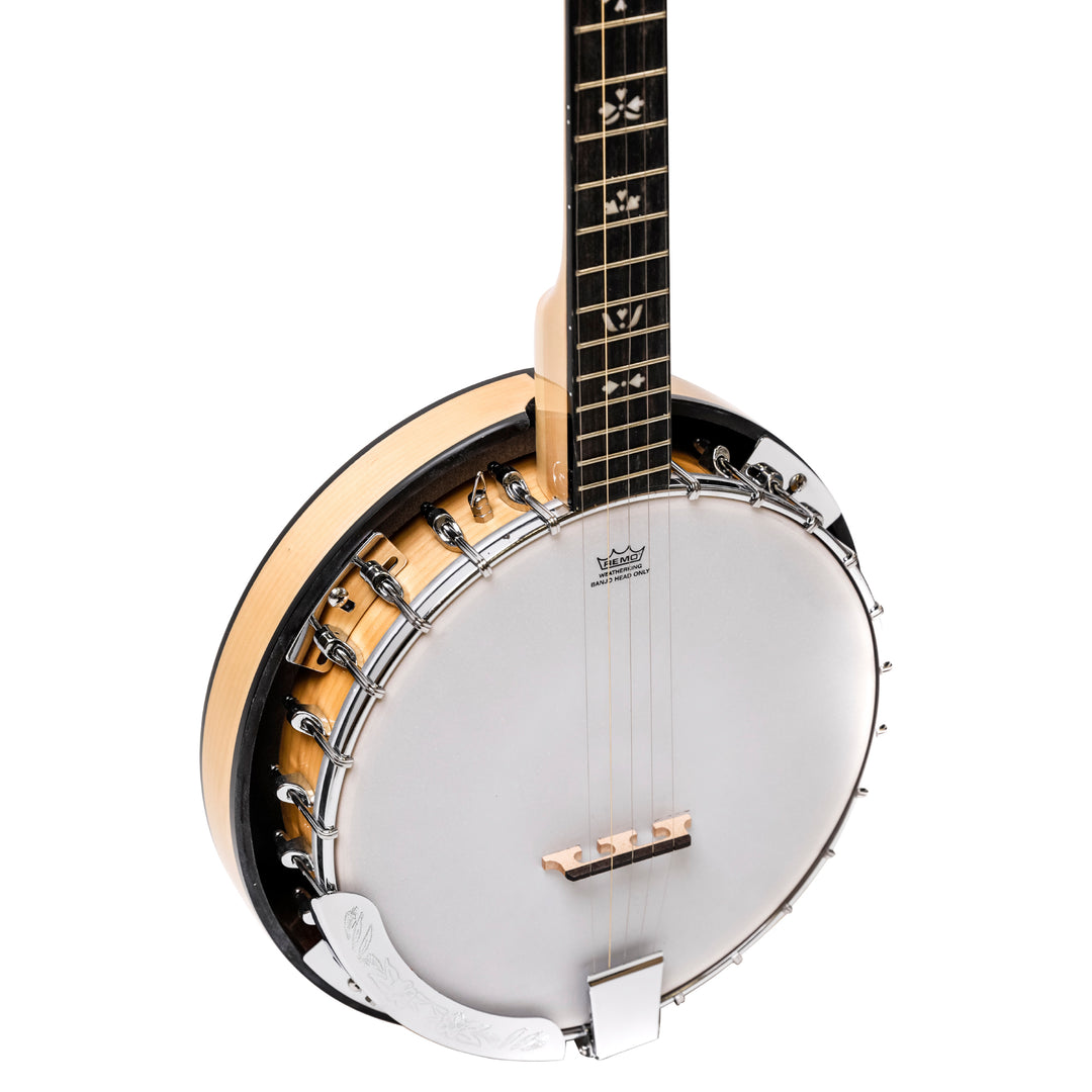 Heartland 5 String Irish Tenor Banjo - 22 frets