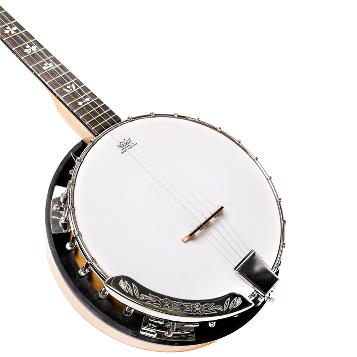 Heartland 5 String Irish Tenor Banjo - 22 frets