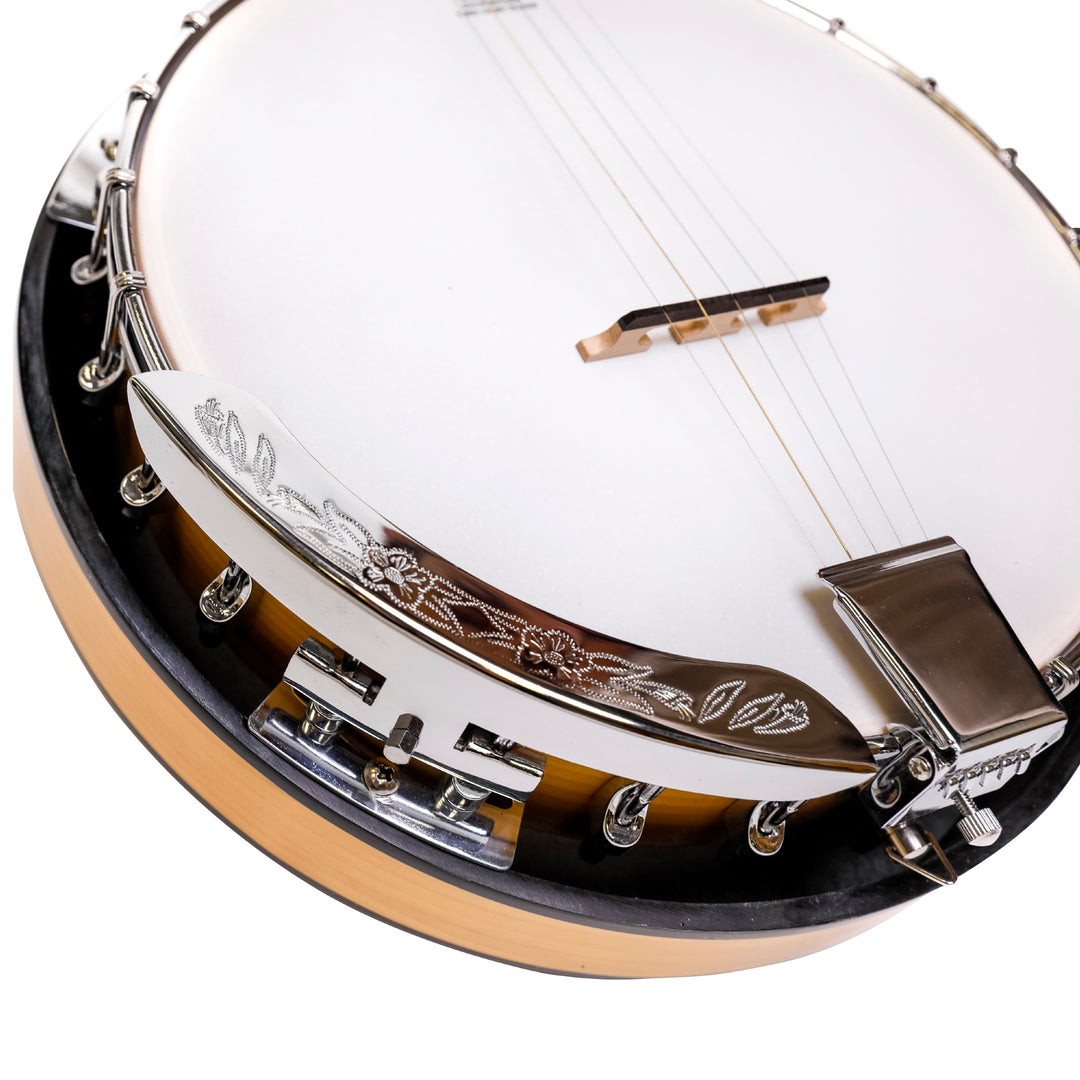 Heartland 5 String Irish Tenor Banjo - 22 frets