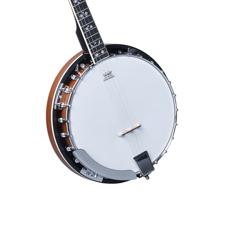 Heartland 5 String Irish Tenor Banjo - 22 frets