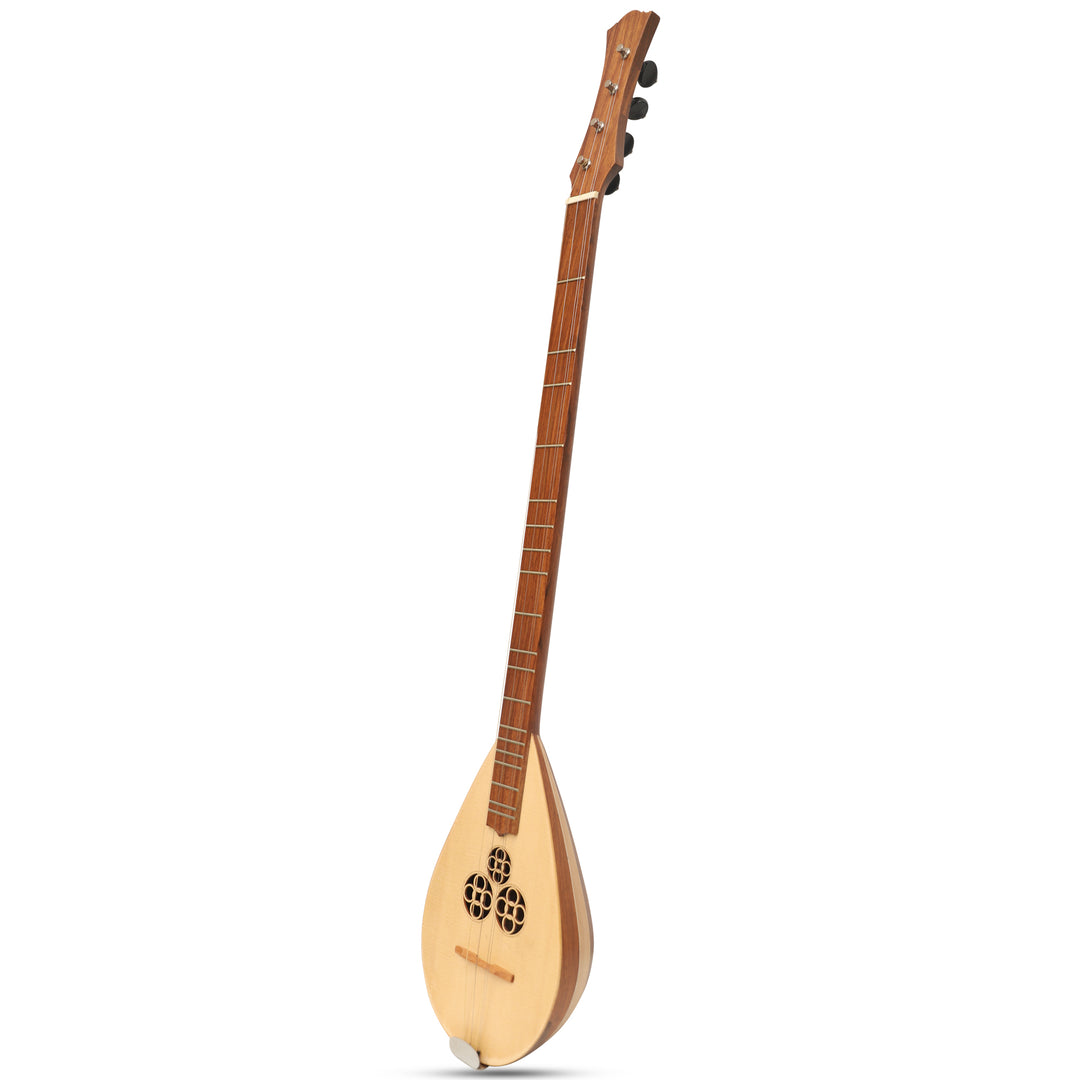 Heartland Wildwood Dulcimer Banjo - 4 string Roundback
