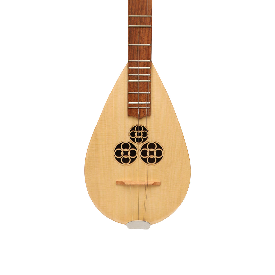 Heartland Wildwood Dulcimer Banjo - 4 string Roundback