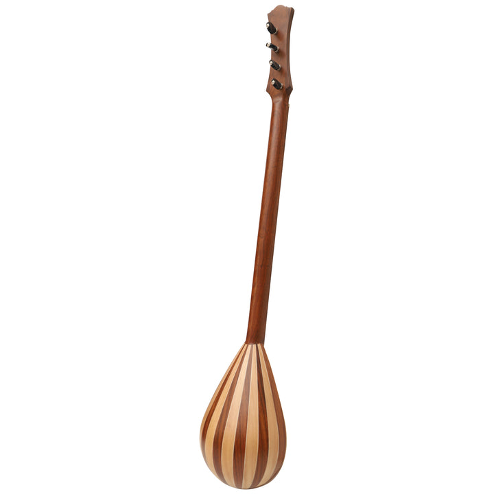 Heartland Wildwood Dulcimer Banjo - 4 string Roundback