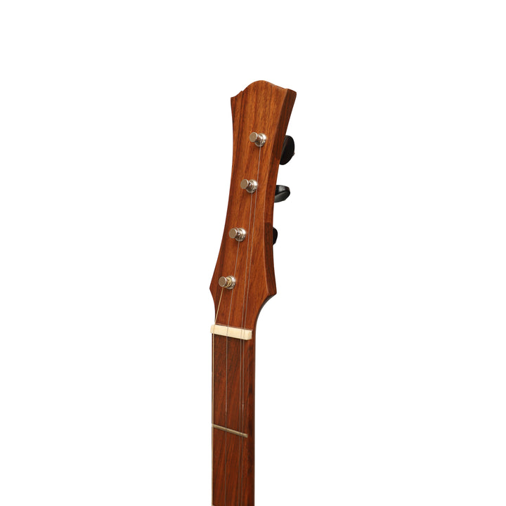 Heartland Wildwood Dulcimer Banjo - 4 string Roundback