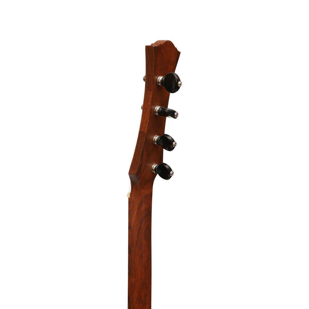 Heartland Wildwood Dulcimer Banjo - 4 string Roundback