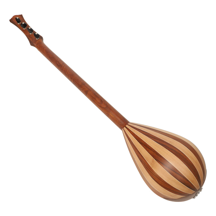 Heartland Wildwood Dulcimer Banjo - 4 string Roundback