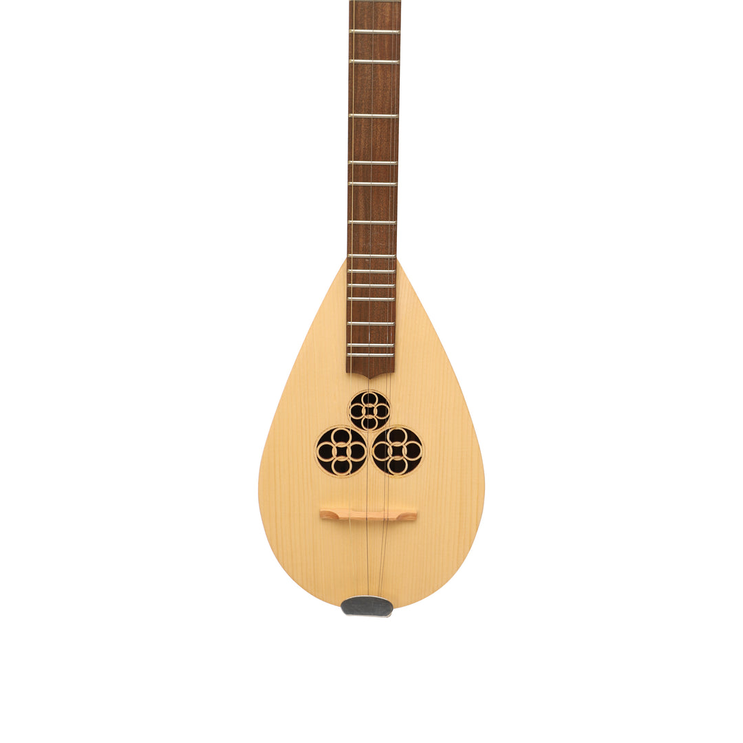 Heartland Wildwood Dulcimer Banjo - 4 string Roundback
