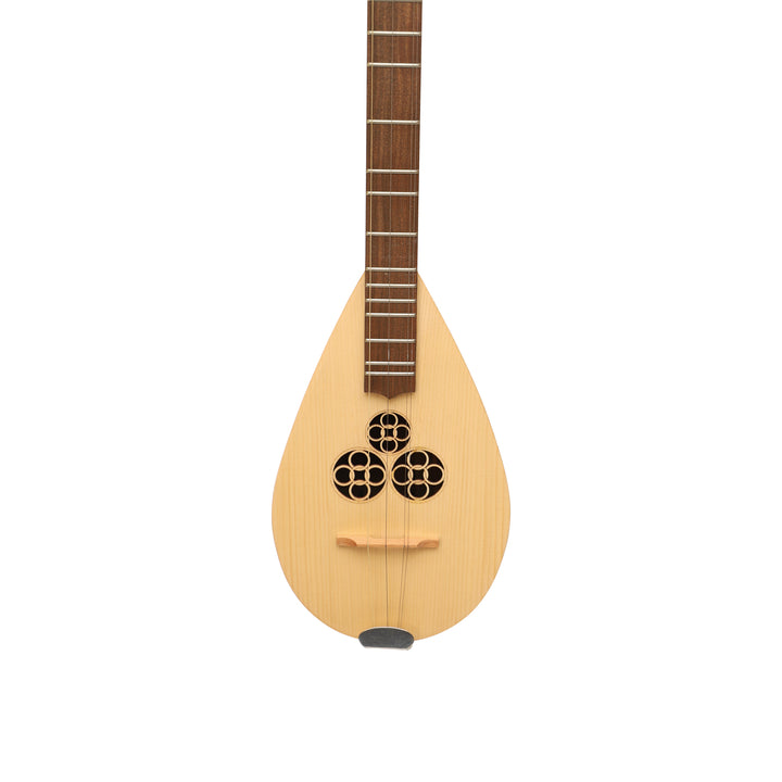 Heartland Wildwood Dulcimer Banjo - 4 string Roundback
