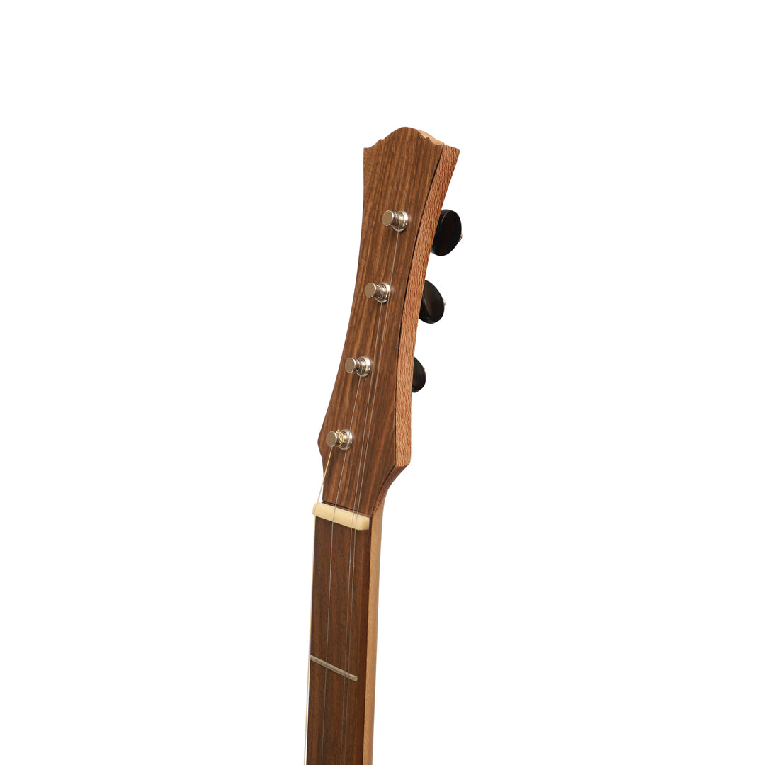 Heartland Wildwood Dulcimer Banjo - 4 string Roundback
