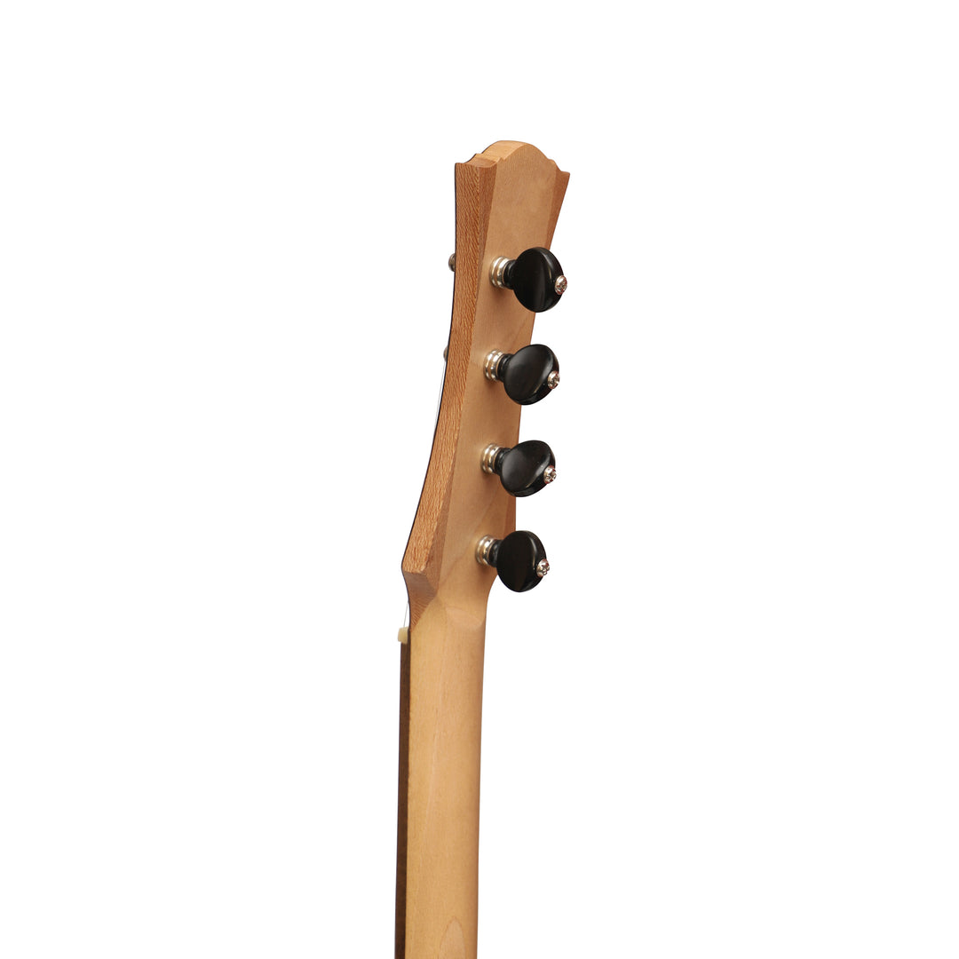 Heartland Wildwood Dulcimer Banjo - 4 string Roundback