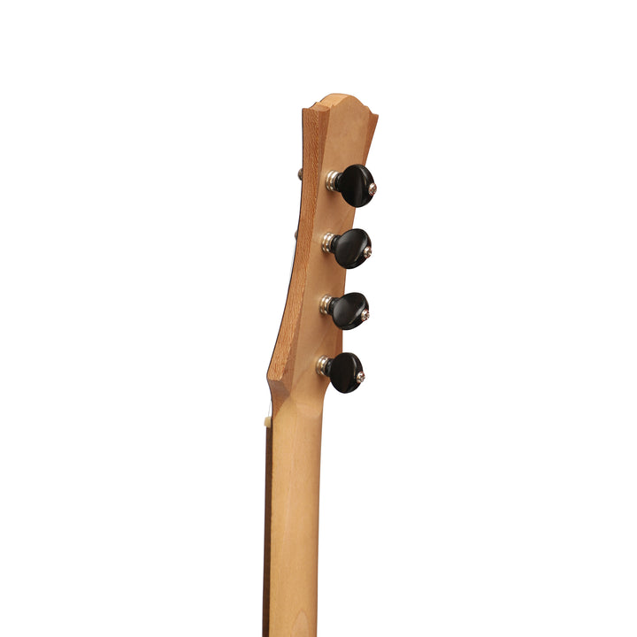Heartland Wildwood Dulcimer Banjo - 4 string Roundback