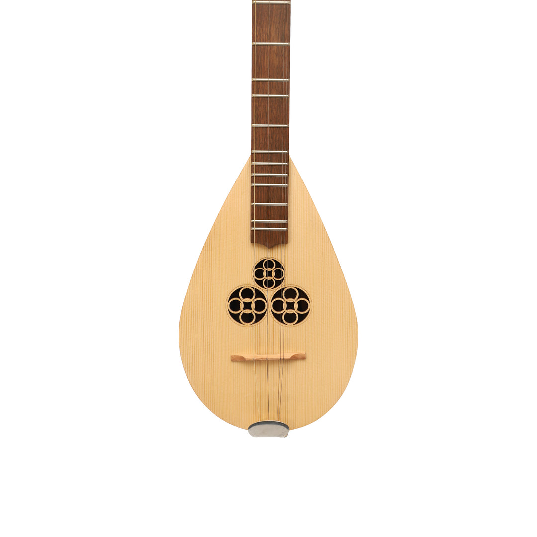 Heartland Wildwood Dulcimer Banjo - 4 string Roundback