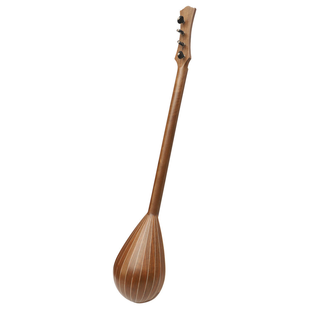 Heartland Wildwood Dulcimer Banjo - 4 string Roundback