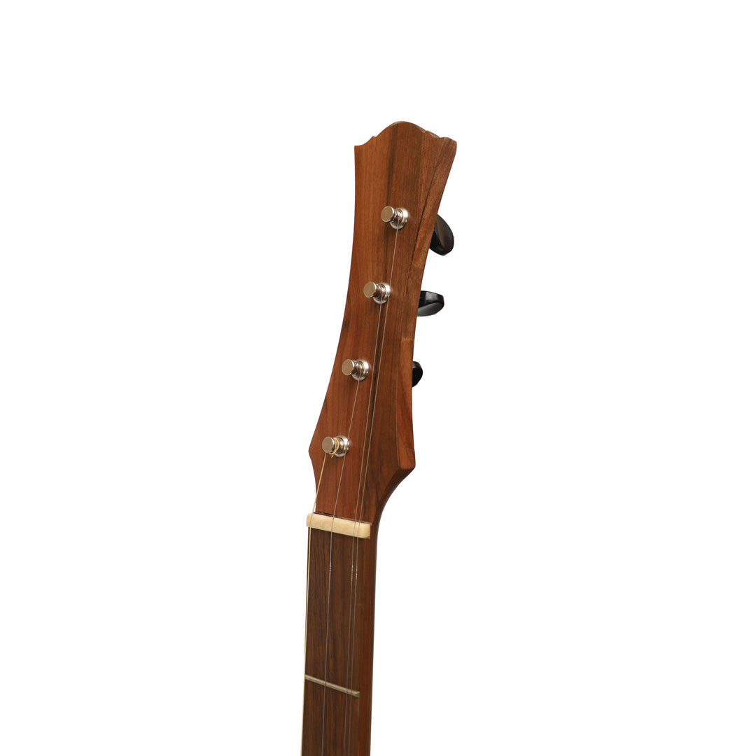 Heartland Wildwood Dulcimer Banjo - 4 string Roundback