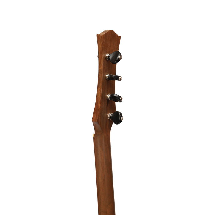 Heartland Wildwood Dulcimer Banjo - 4 string Roundback