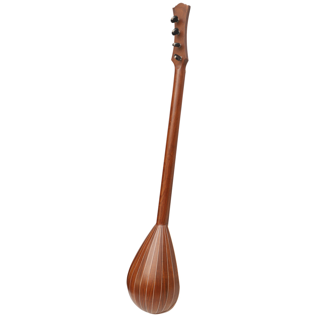 Heartland Wildwood Dulcimer Banjo - 4 string Roundback