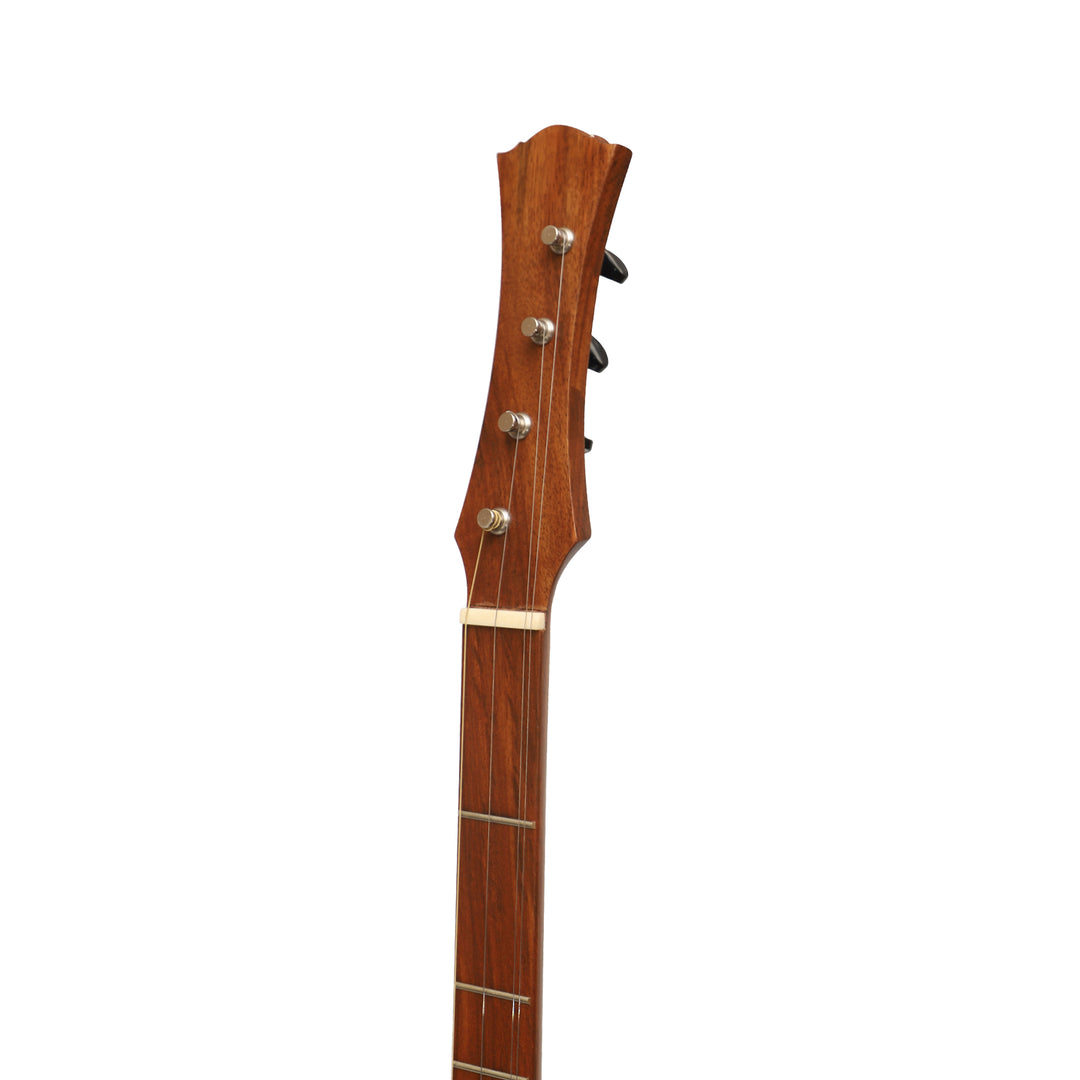 Heartland Wildwood Dulcimer Banjo - 4 string Roundback