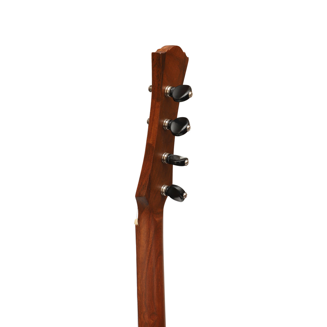 Heartland Wildwood Dulcimer Banjo - 4 string Roundback