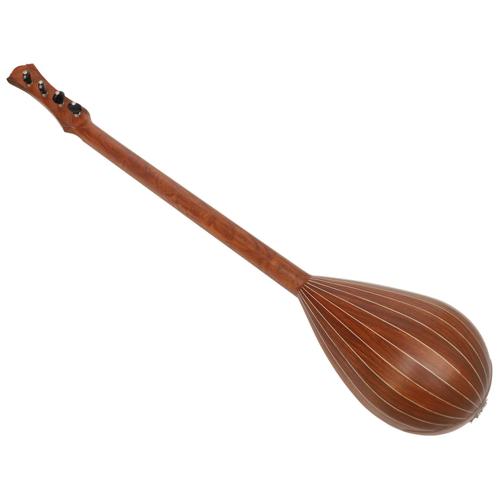 Heartland Wildwood Dulcimer Banjo - 4 string Roundback