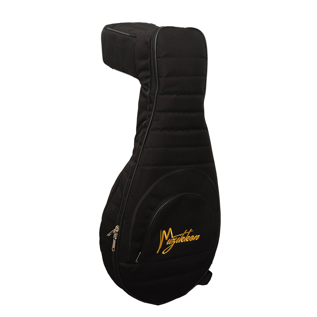 Renaissance Lute - 6 Course