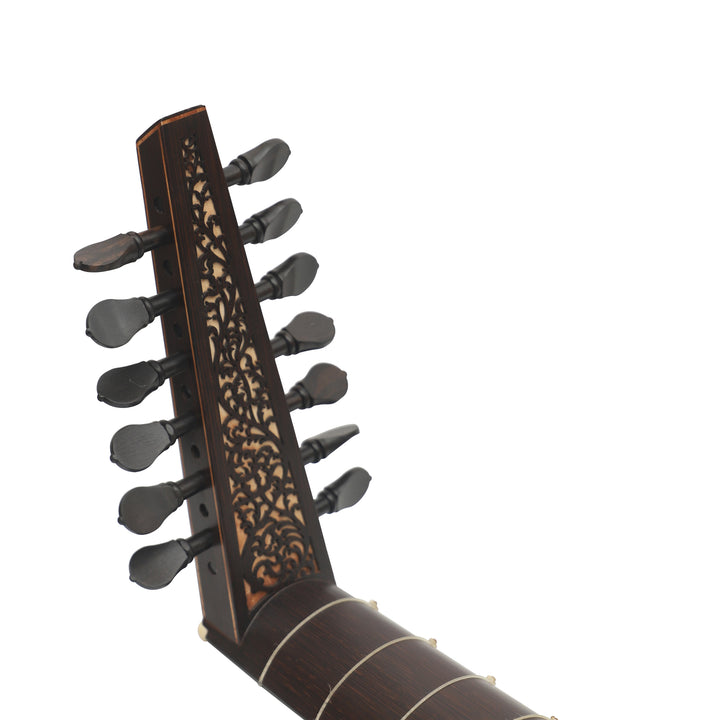 Renaissance Lute - 7 Course