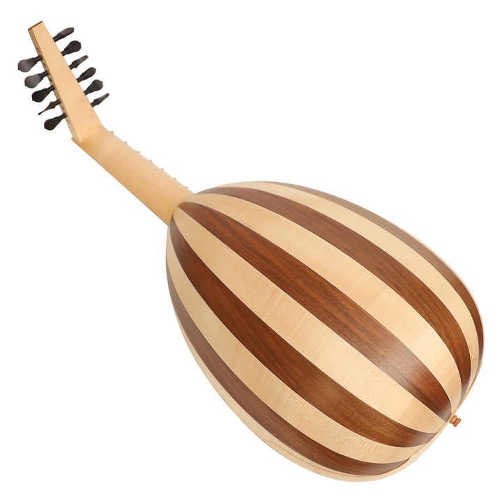 Renaissance Lute - 6 Course